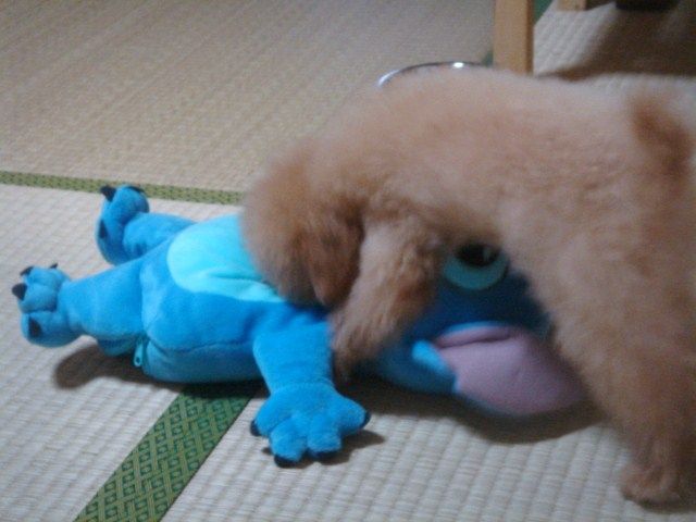 イメージ 2