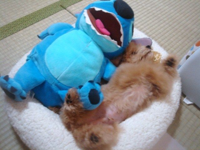 イメージ 2
