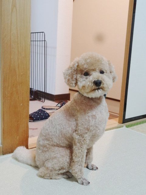 イメージ 8