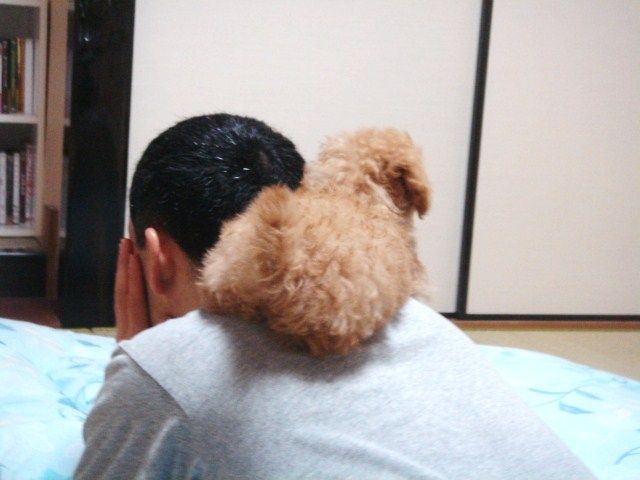 イメージ 14