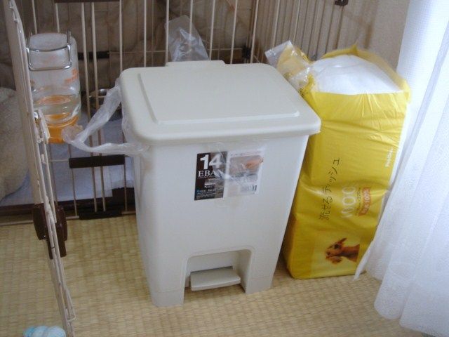 イメージ 5