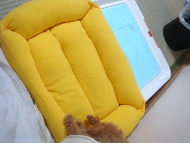 イメージ 9