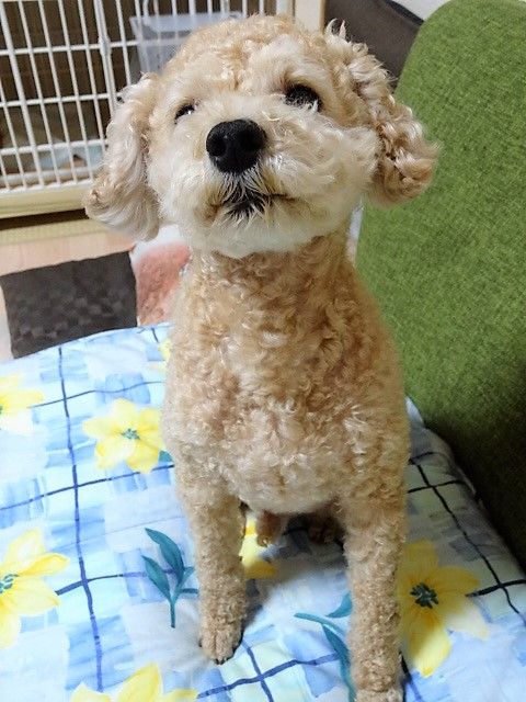 イメージ 7