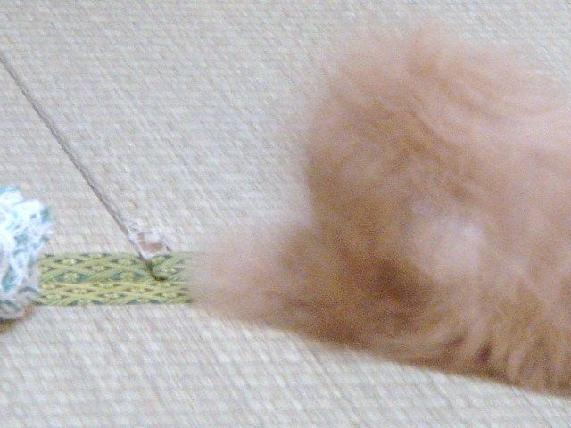 イメージ 4