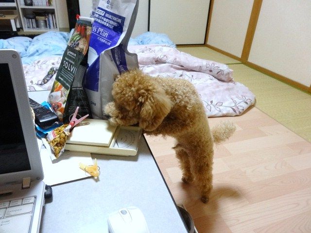 イメージ 4