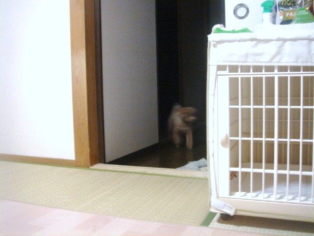 イメージ 4