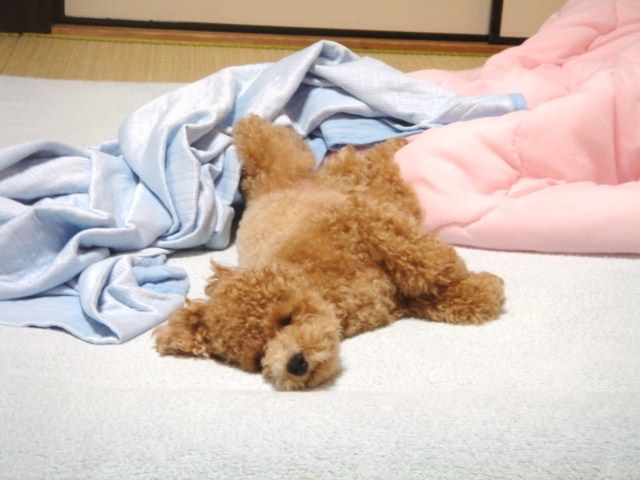 イメージ 2