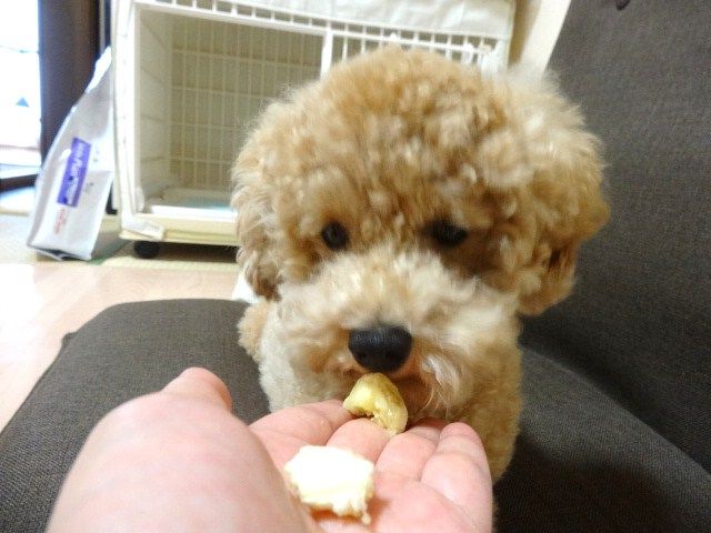 イメージ 5