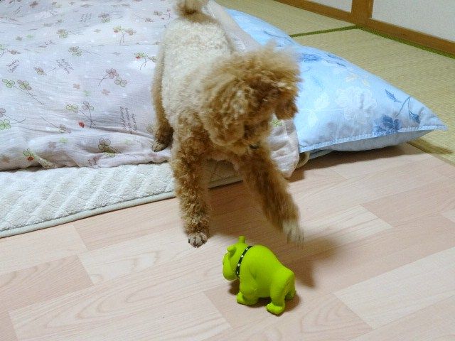 イメージ 3
