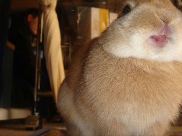イメージ 4