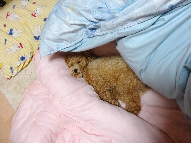 イメージ 3