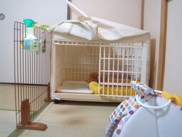 イメージ 4