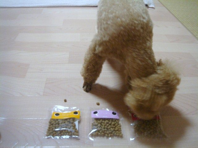 イメージ 7