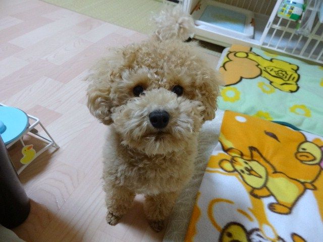 イメージ 2