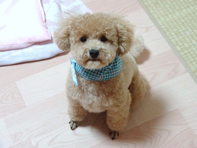 イメージ 8