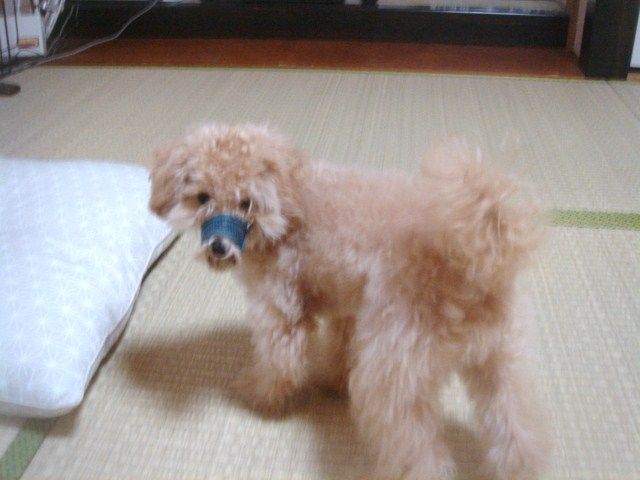 イメージ 1