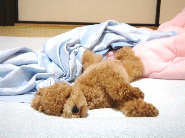 イメージ 5