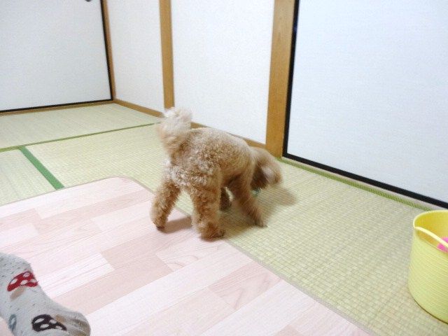 イメージ 3