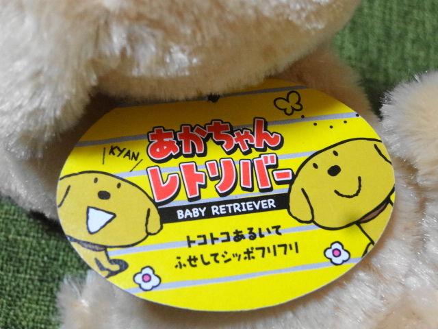 イメージ 5