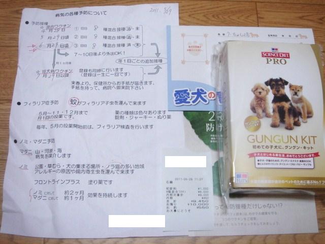 イメージ 1