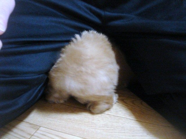 イメージ 8