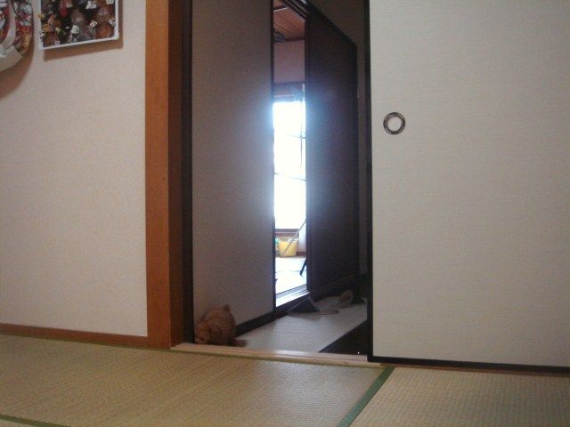 イメージ 11
