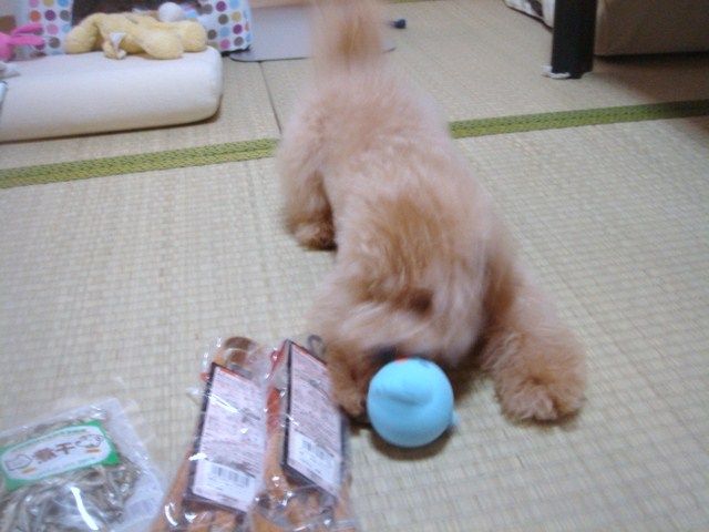 イメージ 2