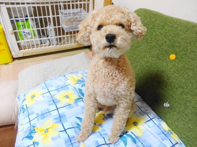 イメージ 1