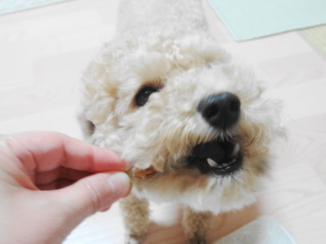 イメージ 14
