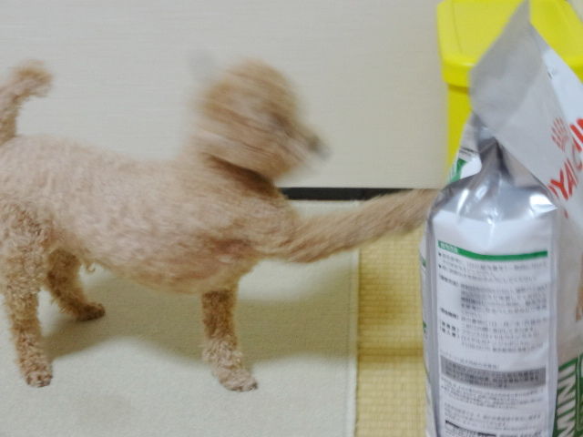 イメージ 2