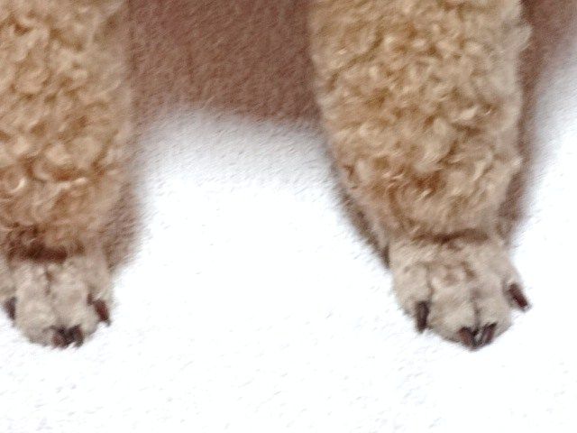 イメージ 10