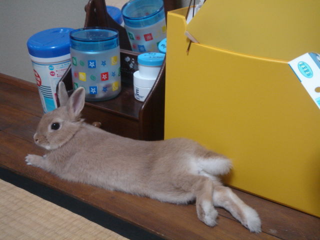 イメージ 3