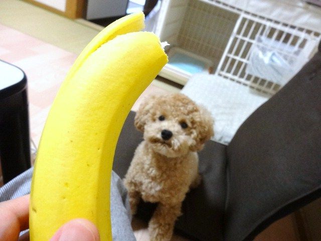 イメージ 9