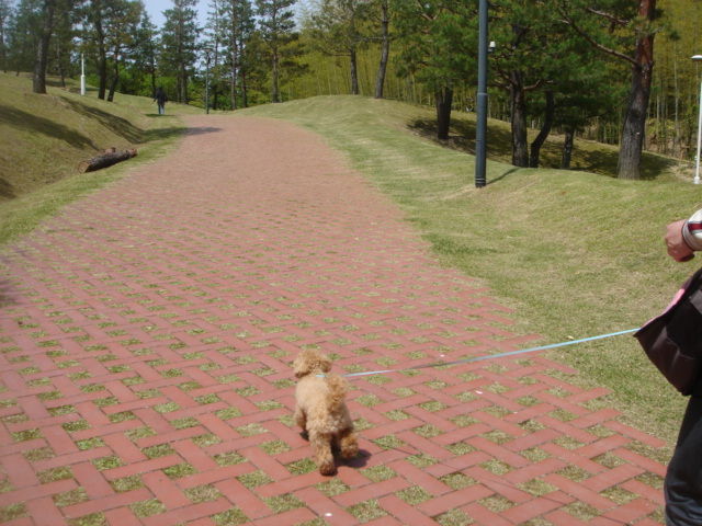 イメージ 15