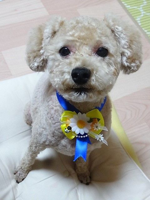 DSC04809