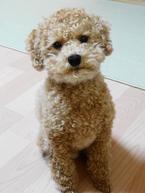 イメージ 6