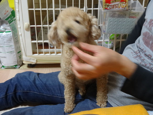 イメージ 9