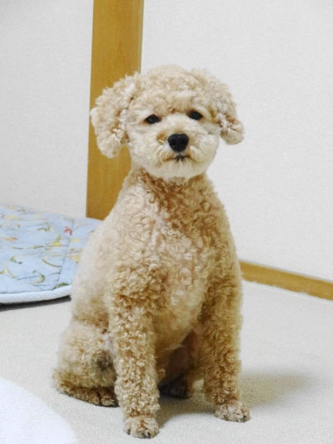イメージ 9