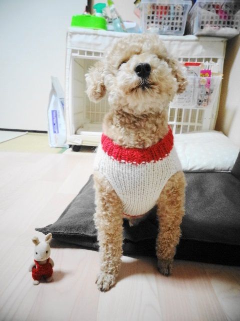 イメージ 3