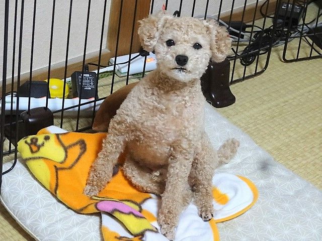 イメージ 2
