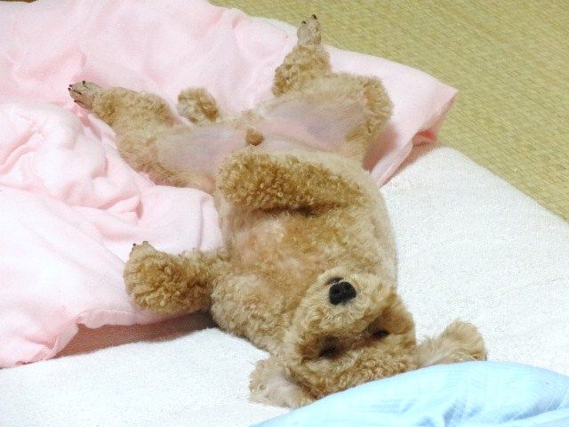 イメージ 3