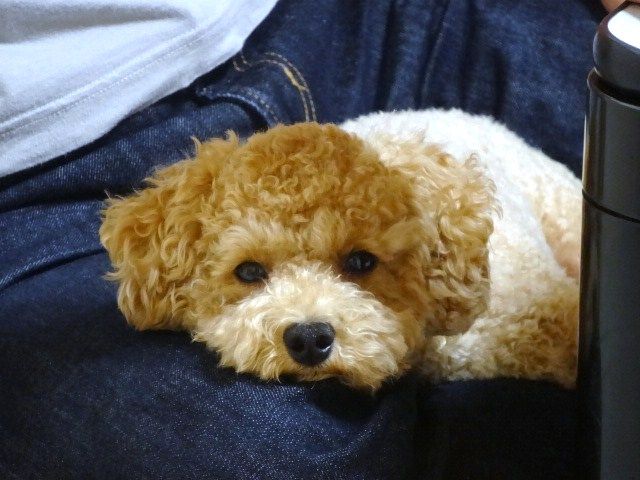 イメージ 3