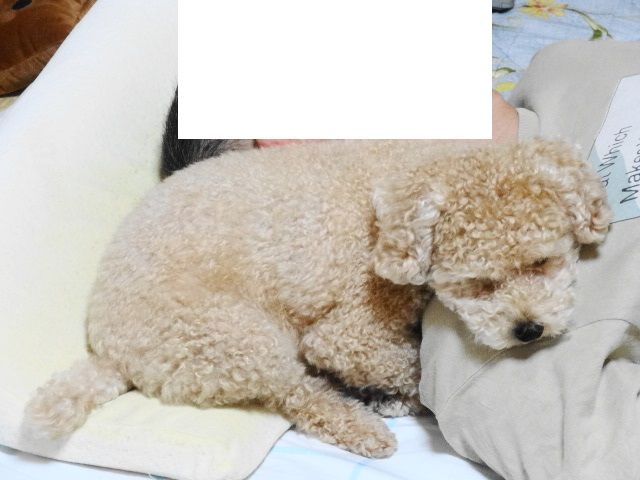 イメージ 3