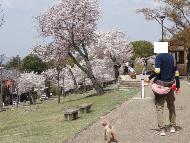 イメージ 12