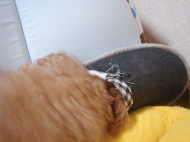イメージ 6