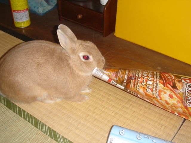 イメージ 2