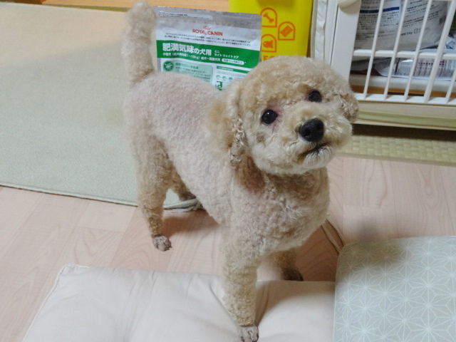 イメージ 1