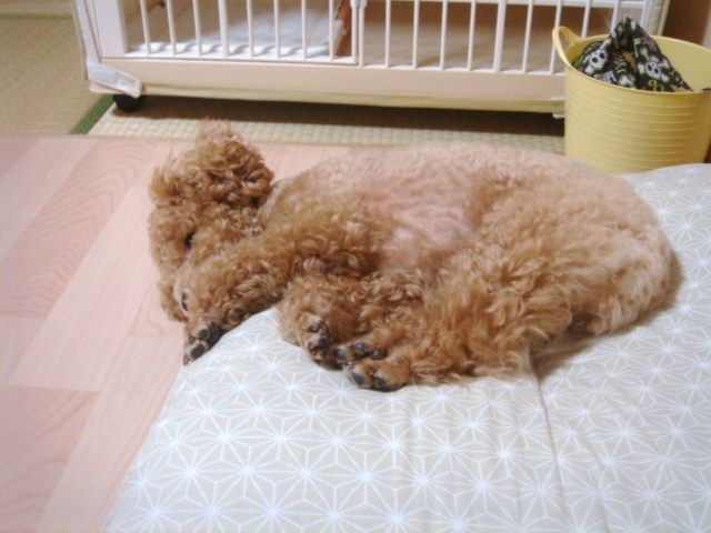 イメージ 6