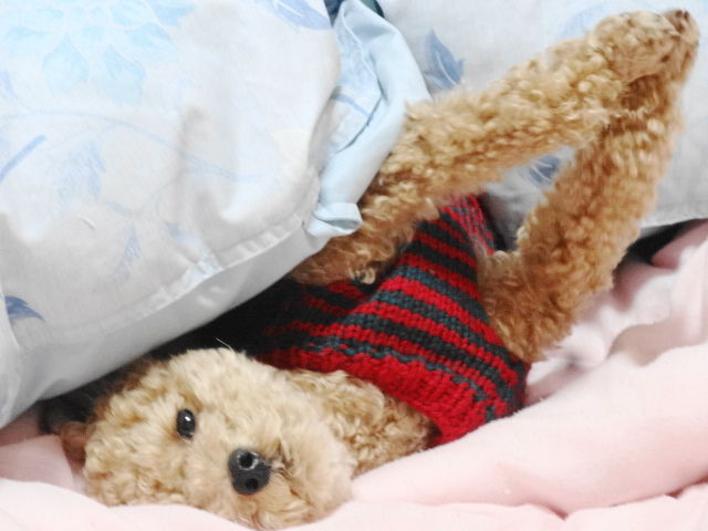 イメージ 3