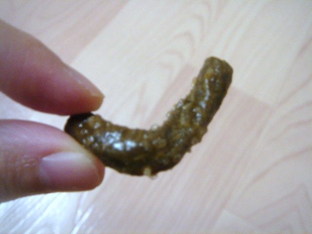 イメージ 6